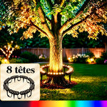 trunkglow · galerie en français