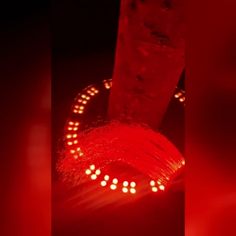 trunkglow · détail et utilisation